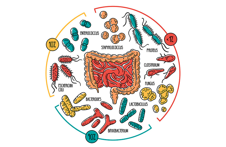 Microbiota